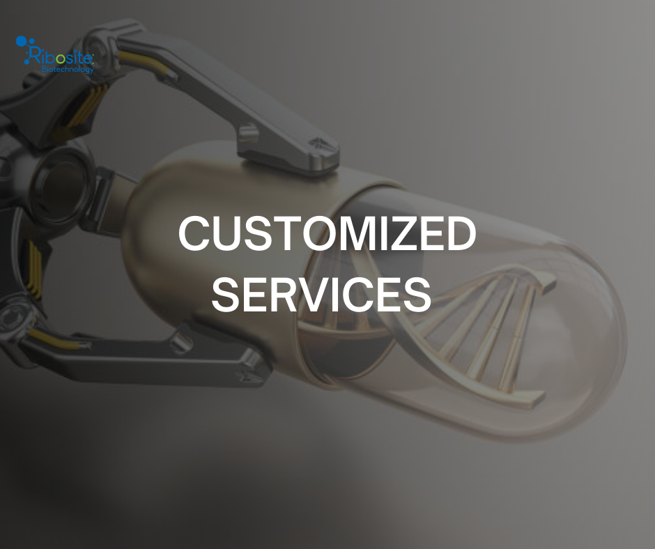 Customized Services